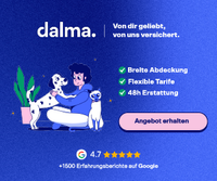 dalma Link